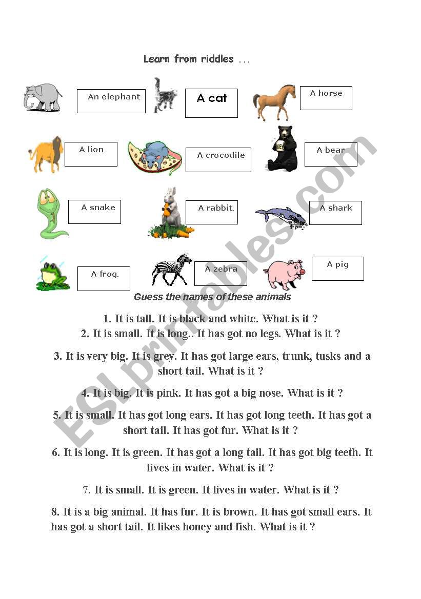 learn from riddles worksheet
