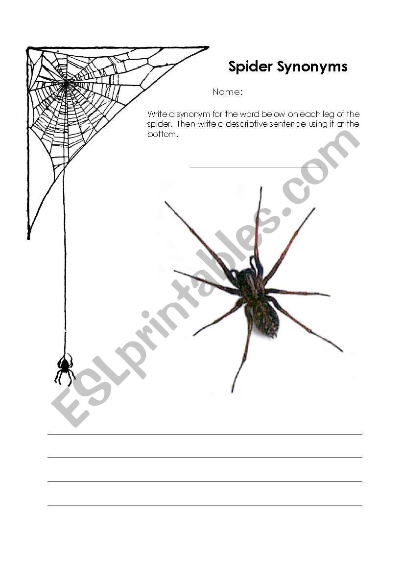 Spider Synonyms worksheet
