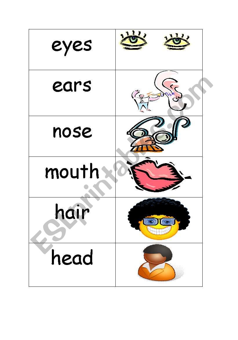 Face Parts - Memory Game  worksheet