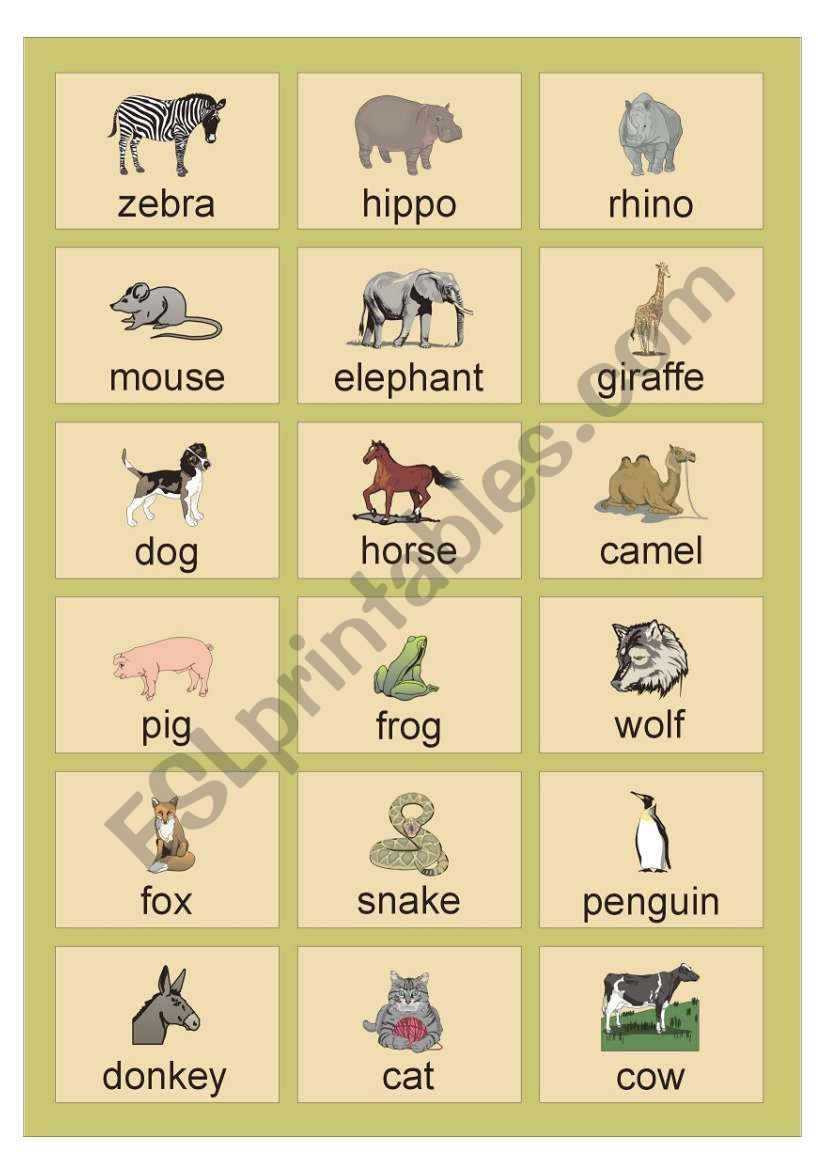 Animals Picture Dictionary worksheet