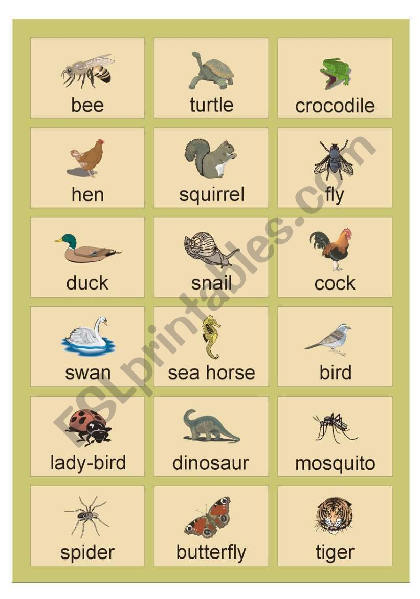 Animals Picture Dictionary (2)