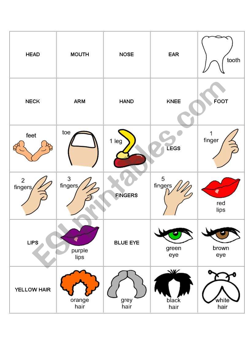 Body Parts Bingo...Great Game worksheet