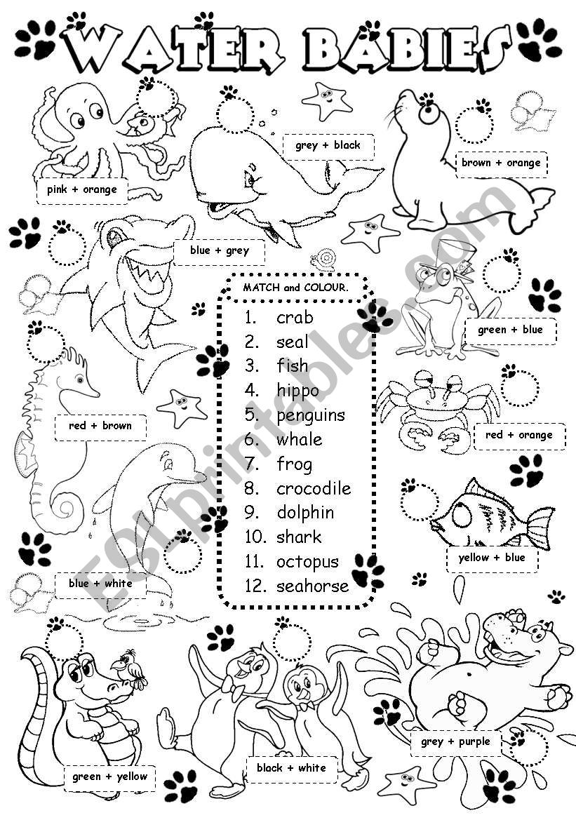 Water Babies worksheet