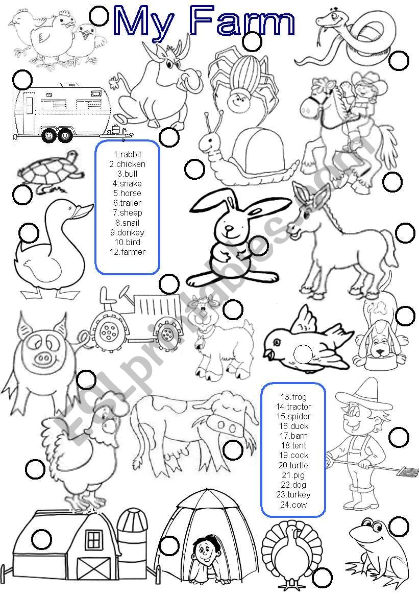 Animals  worksheet