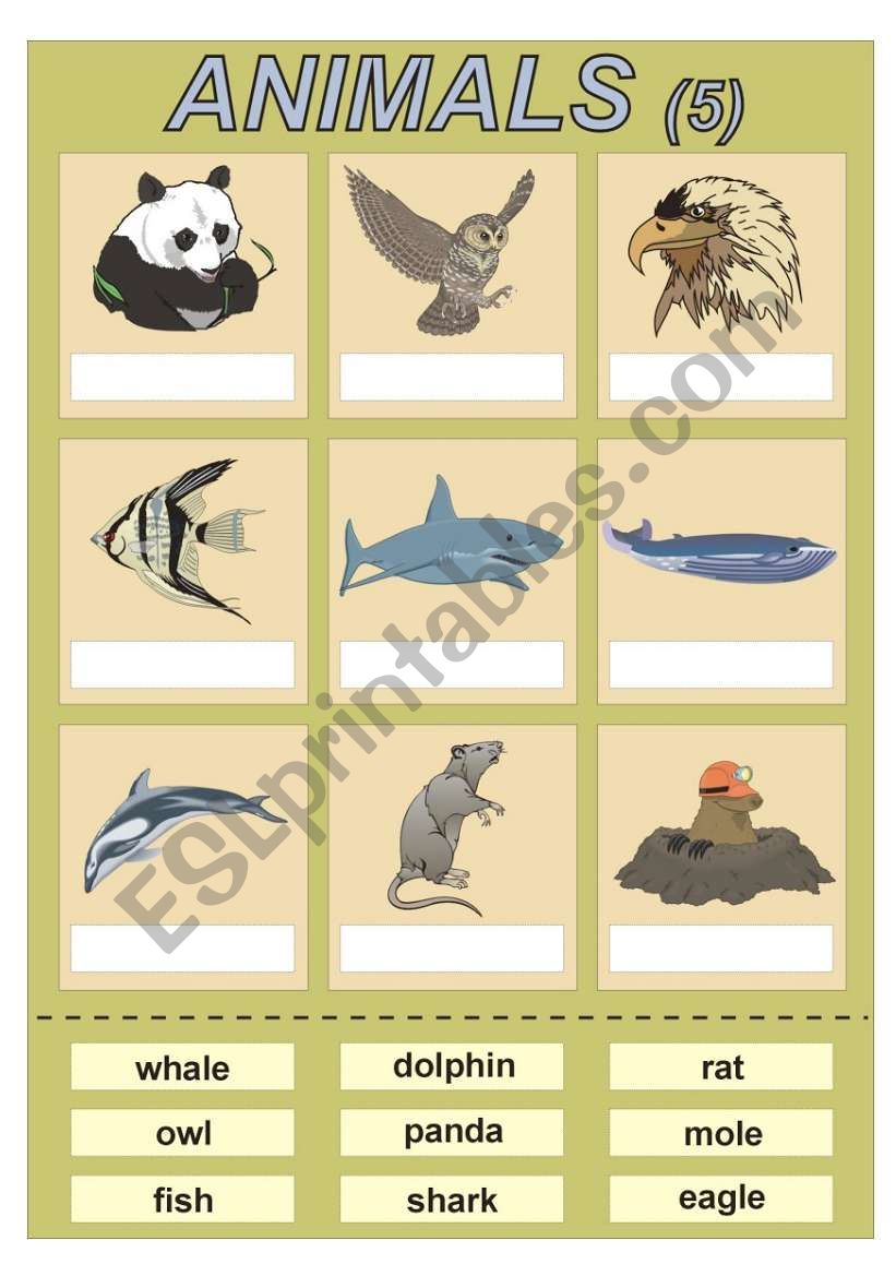 Animals (5) vocabulary for kids (cut and paste exercise)