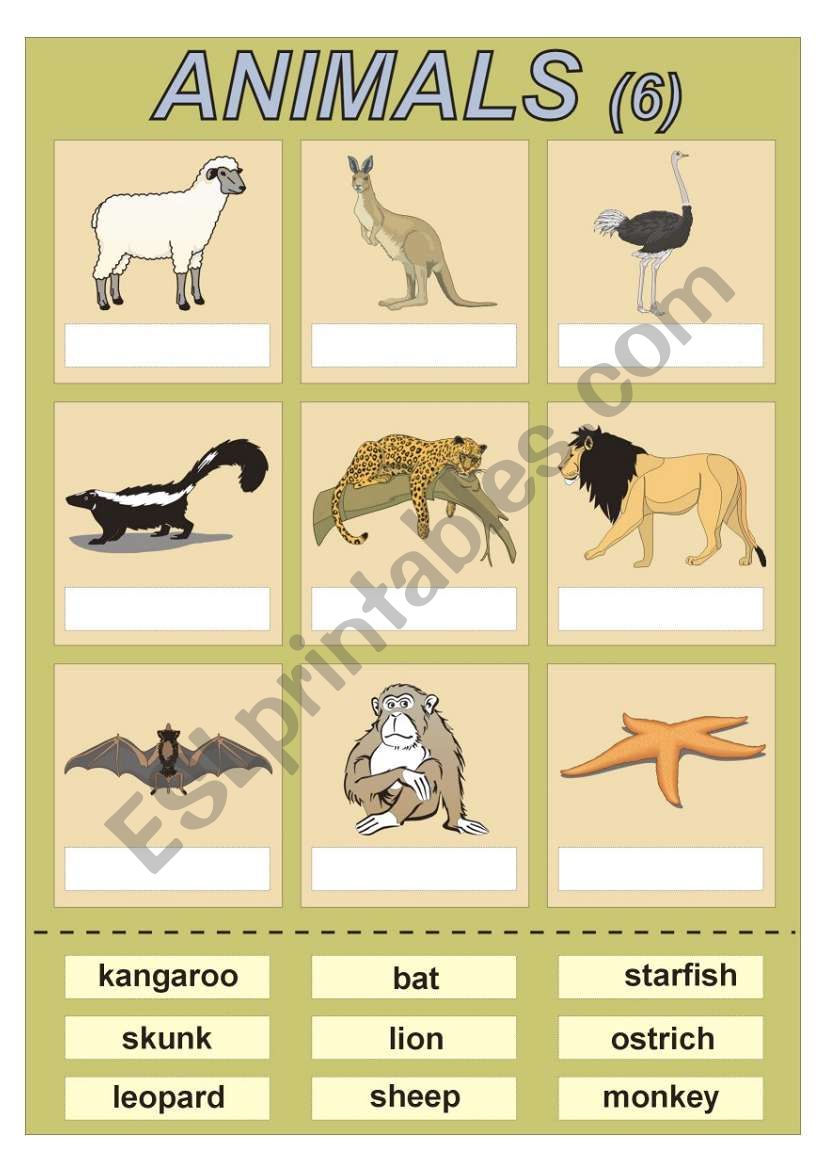 Animals (6) vocabulary for kids (cut and paste exercise)