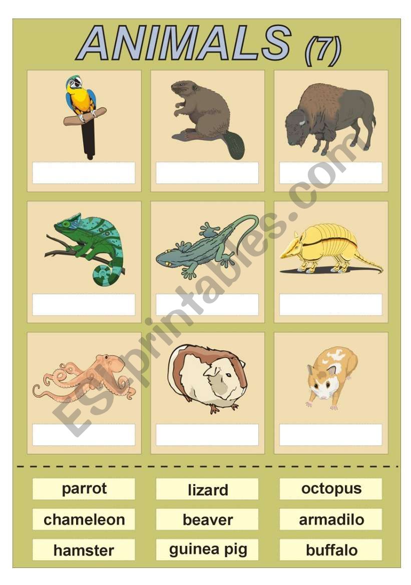 Animals (7) vocabulary for kids (cut and paste exercise)