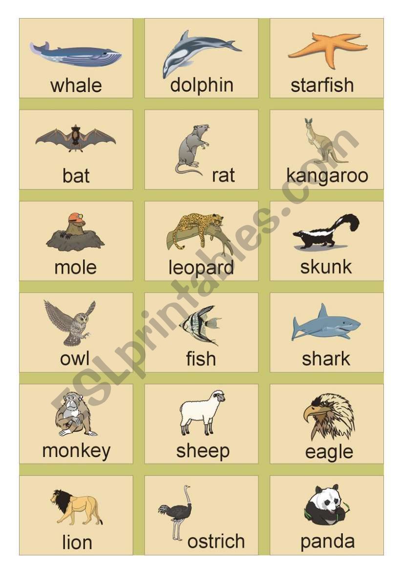 Animals Picture Dictionary (3)