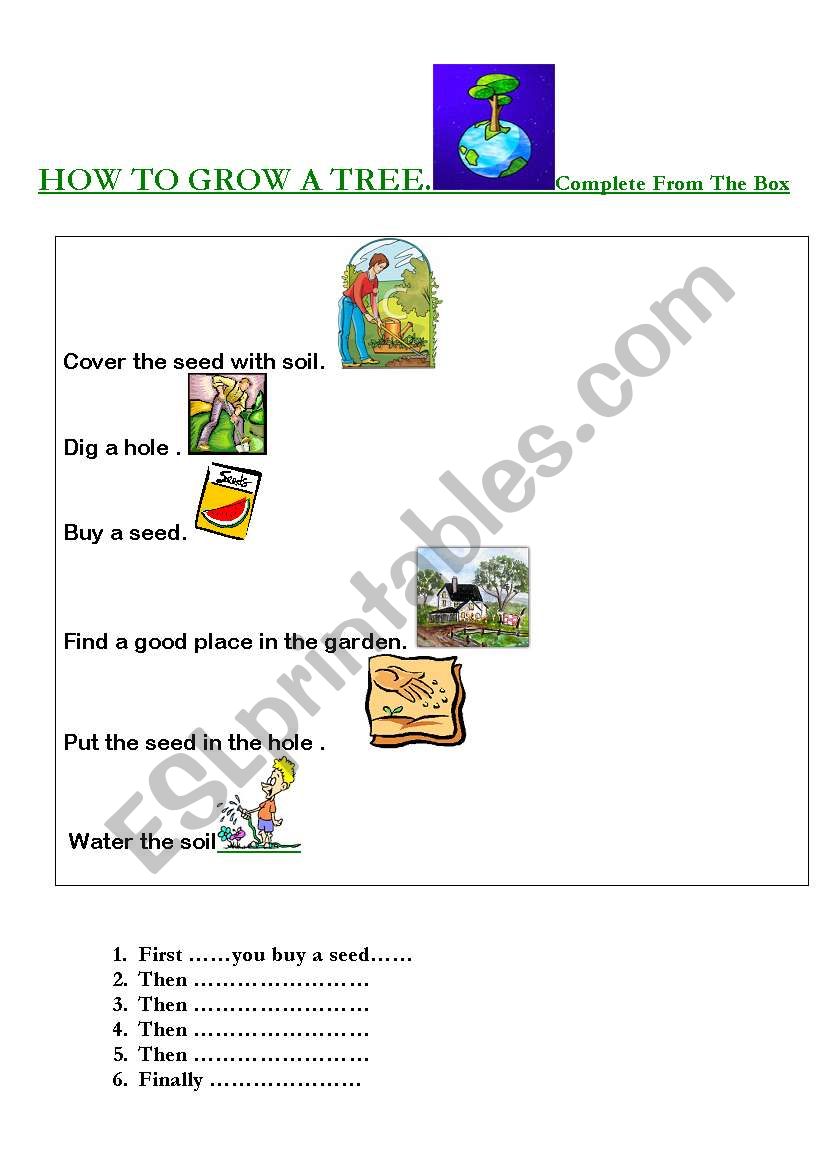 How to grow a tree / plant  worksheet