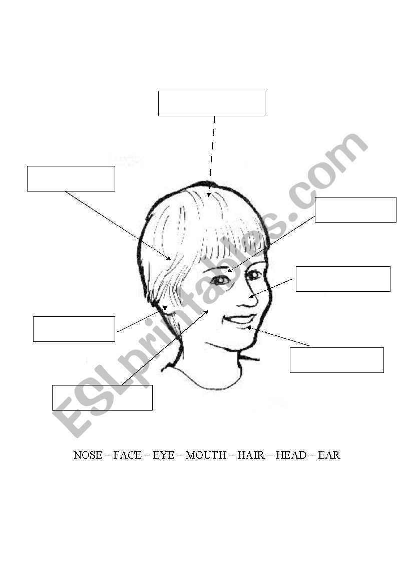 face worksheet