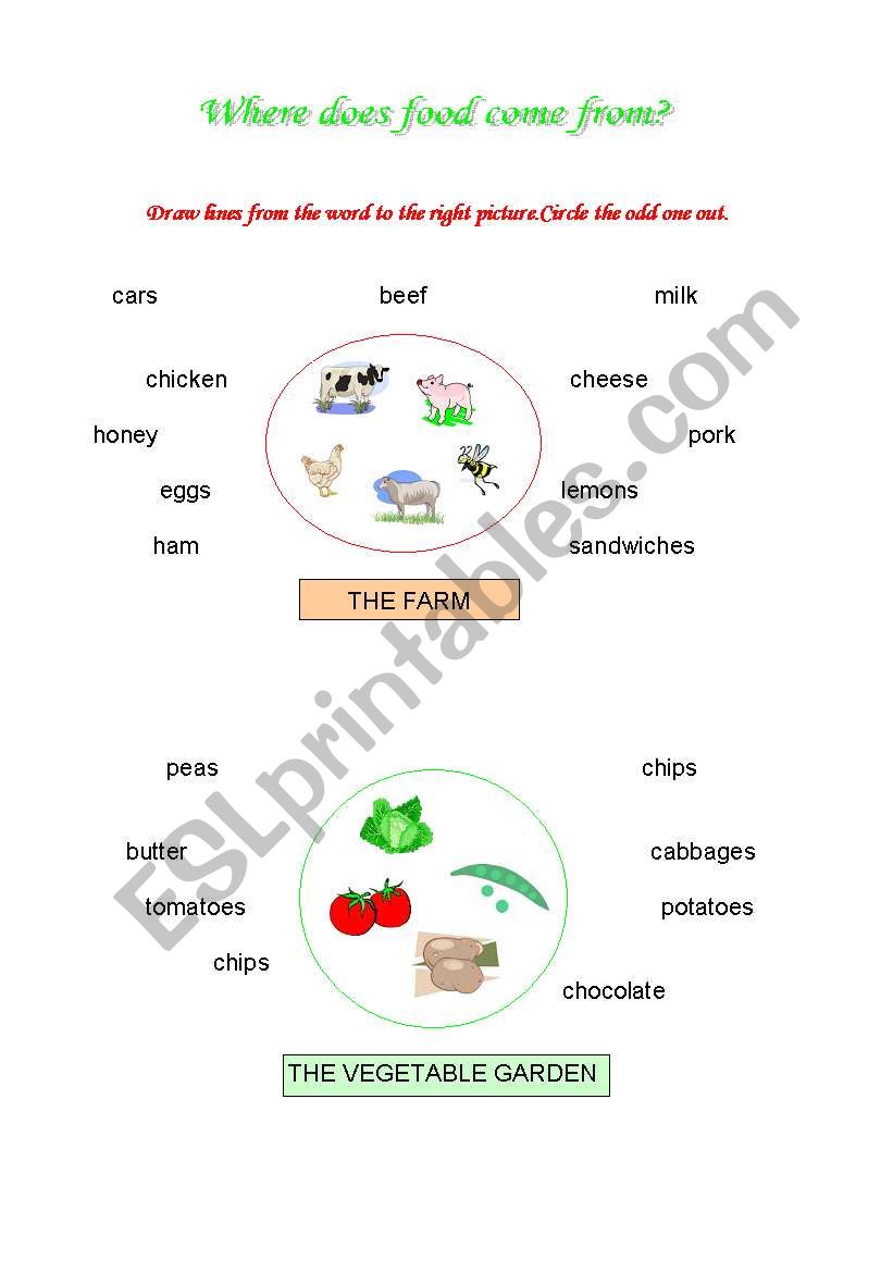 Where does food come from? worksheet