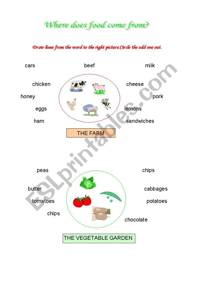English Worksheets Where Does Food Come From 