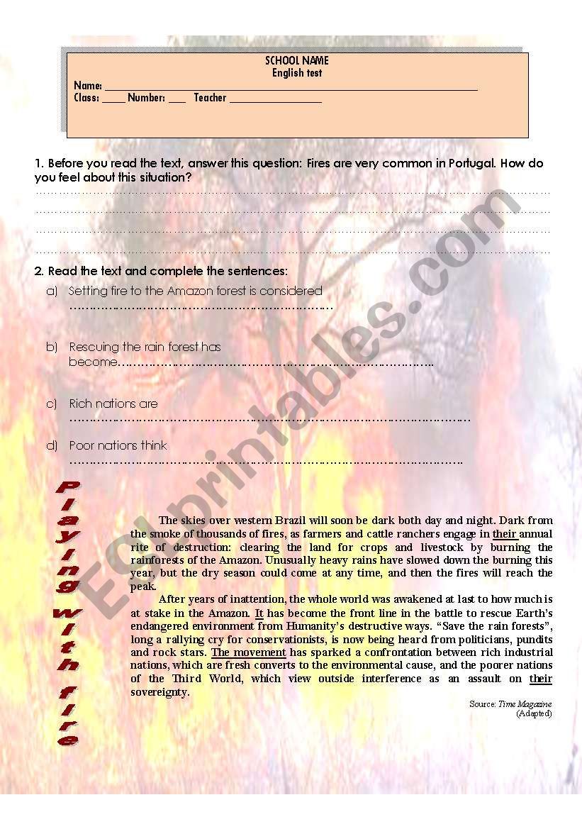 Test - Burning rainforests (4 pages)