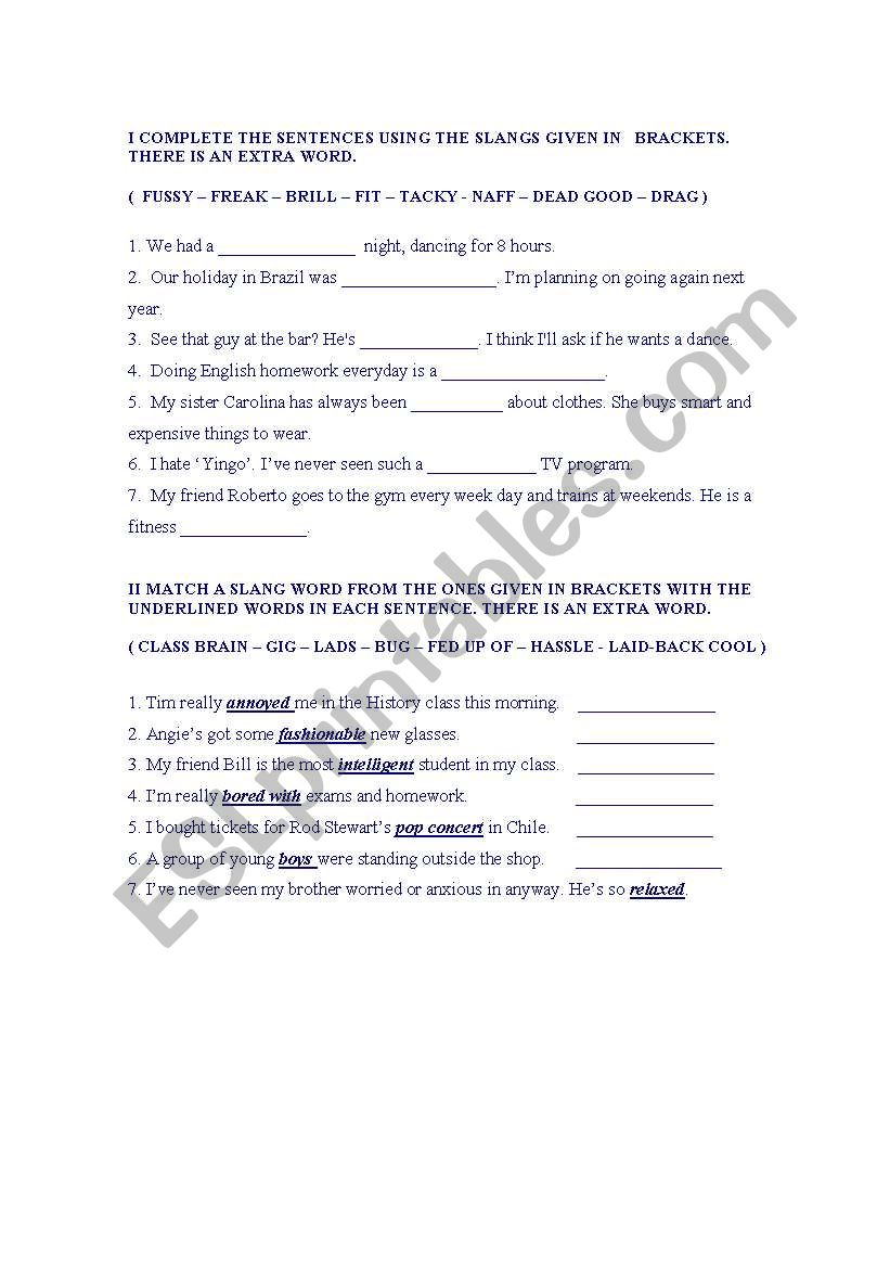 SLANG VOCABULARY worksheet