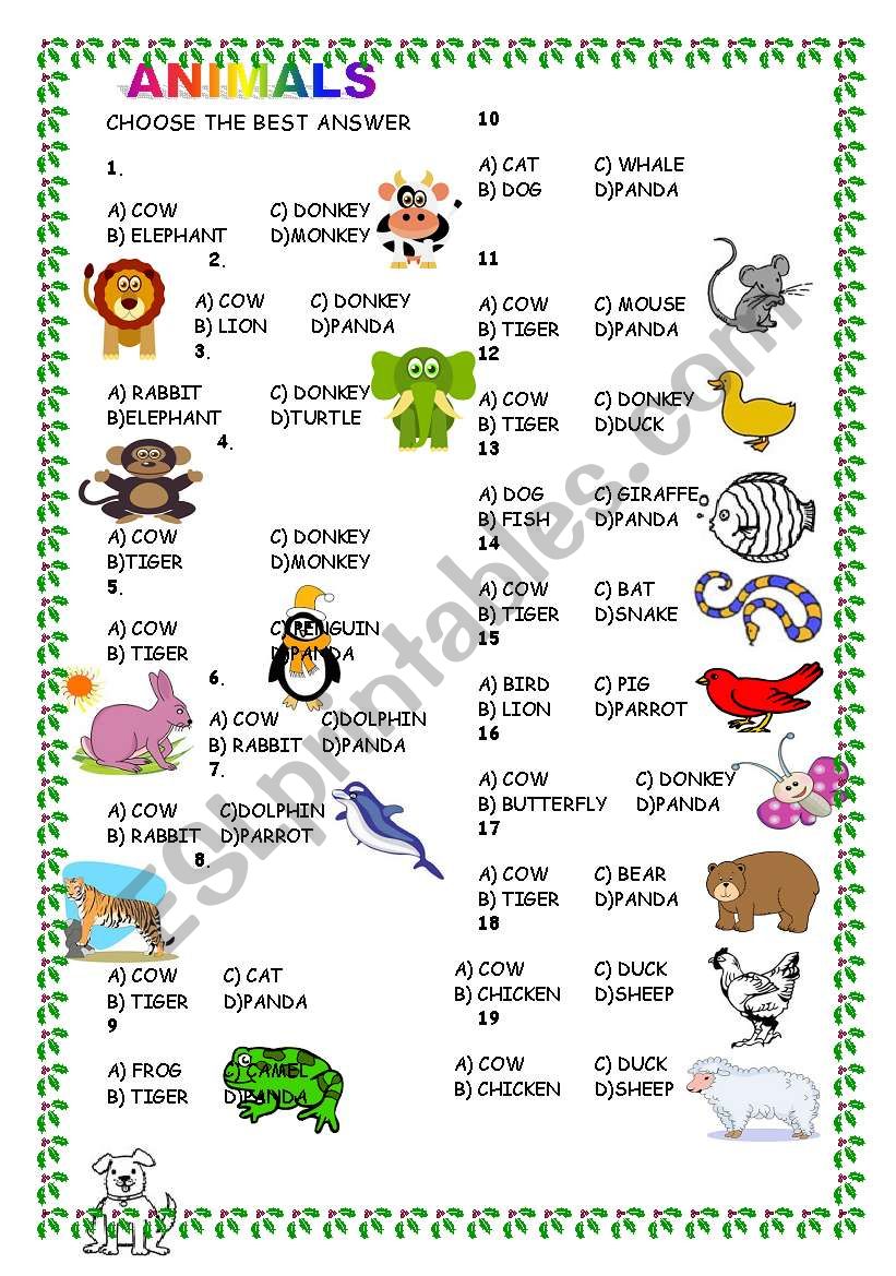 ANIMALS worksheet