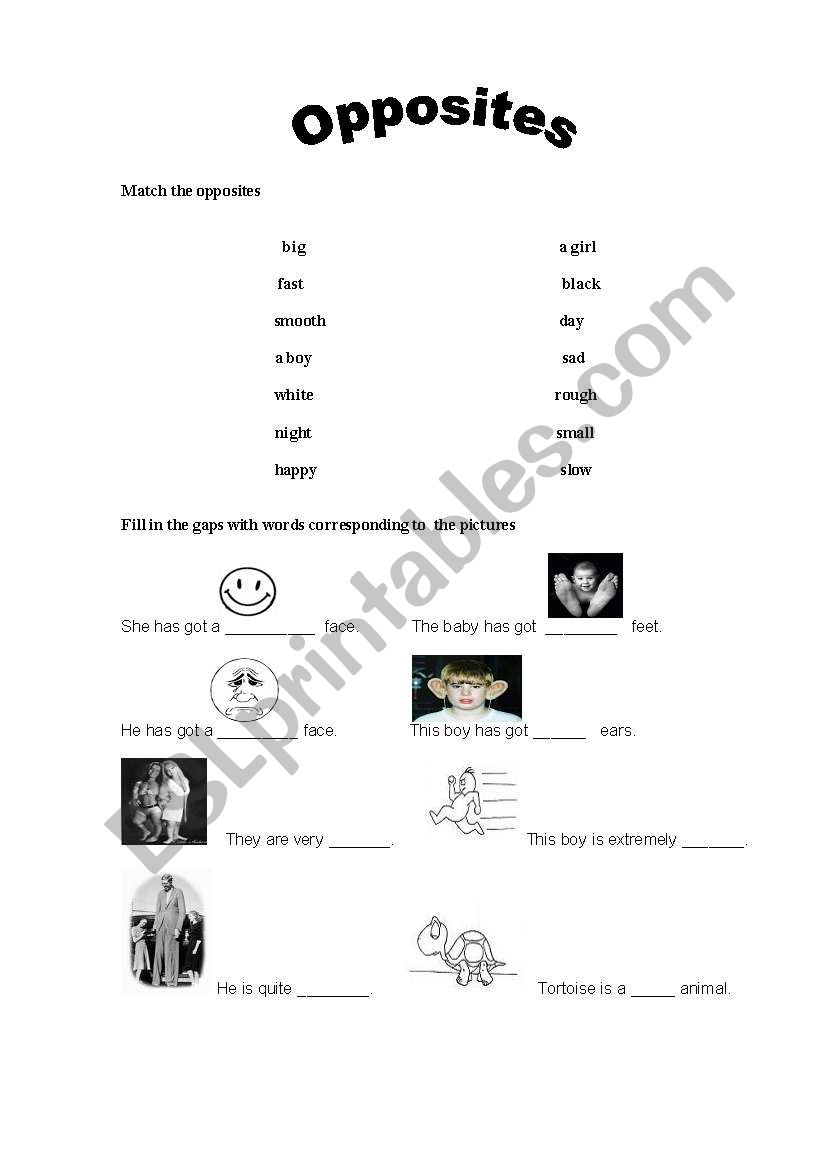 opposites worksheet