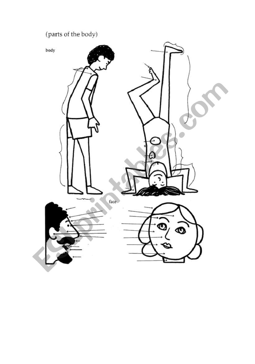 Parts of The Body worksheet
