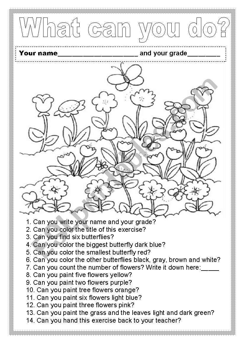 What can you do? worksheet