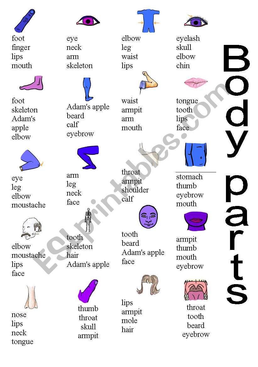 body parts test worksheet