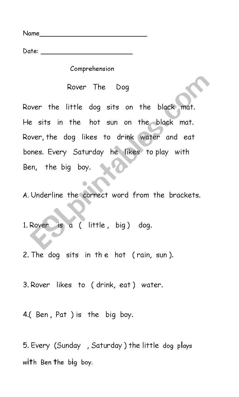 comprehension worksheet