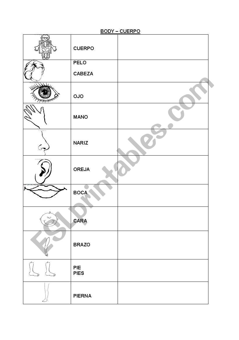 parts of the body worksheet