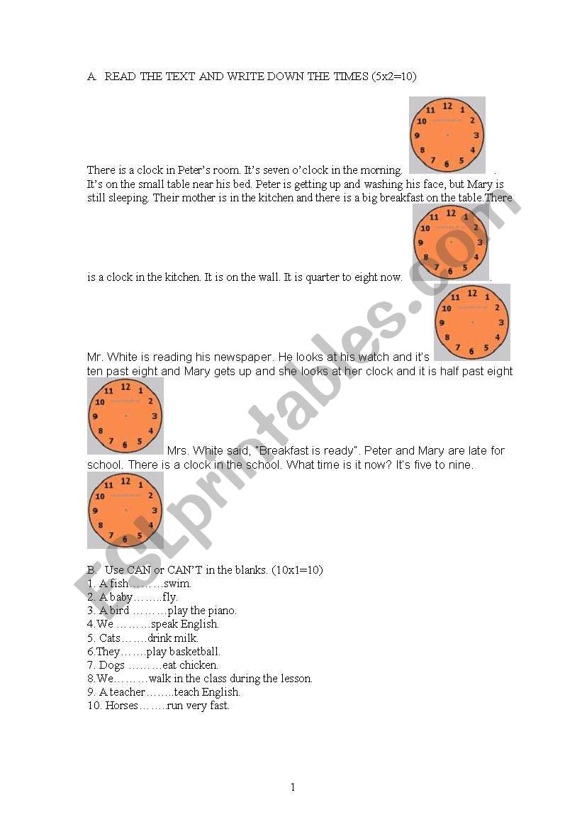 worksheet&quiz worksheet