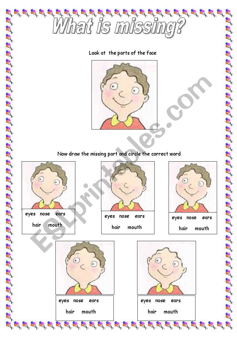 The Face : Whats missing? worksheet