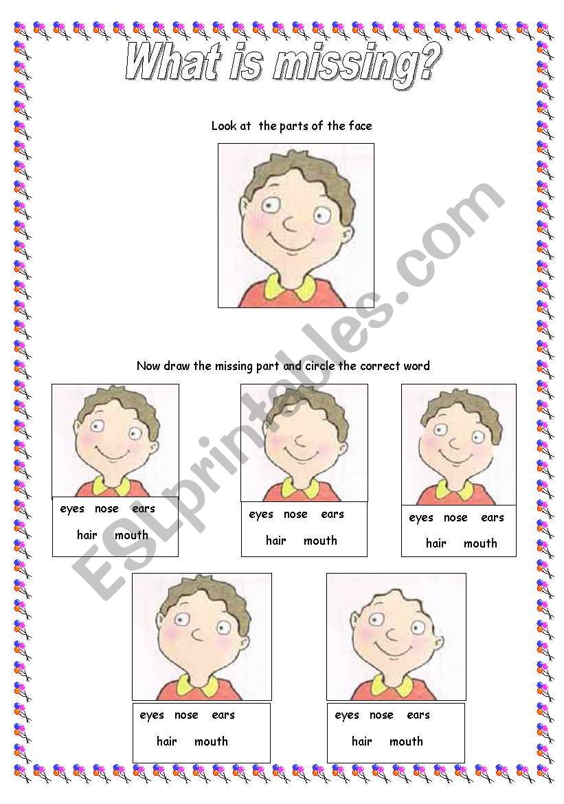 The Face : Whats missing? worksheet