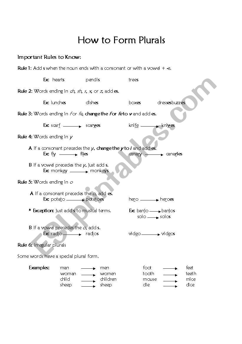 Plural Rules and Worksheet worksheet