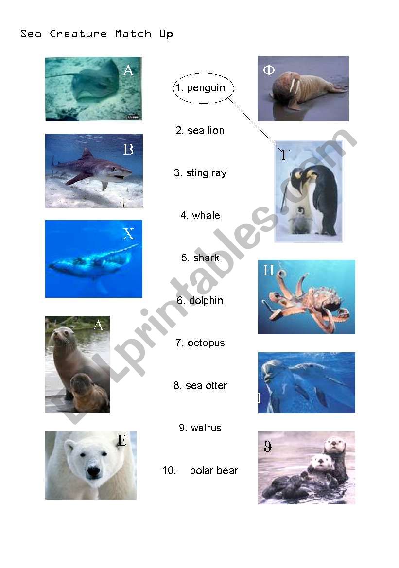 Sea Animal Matching worksheet