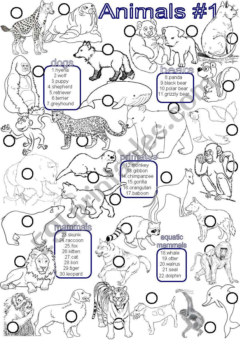 Animals #1 worksheet