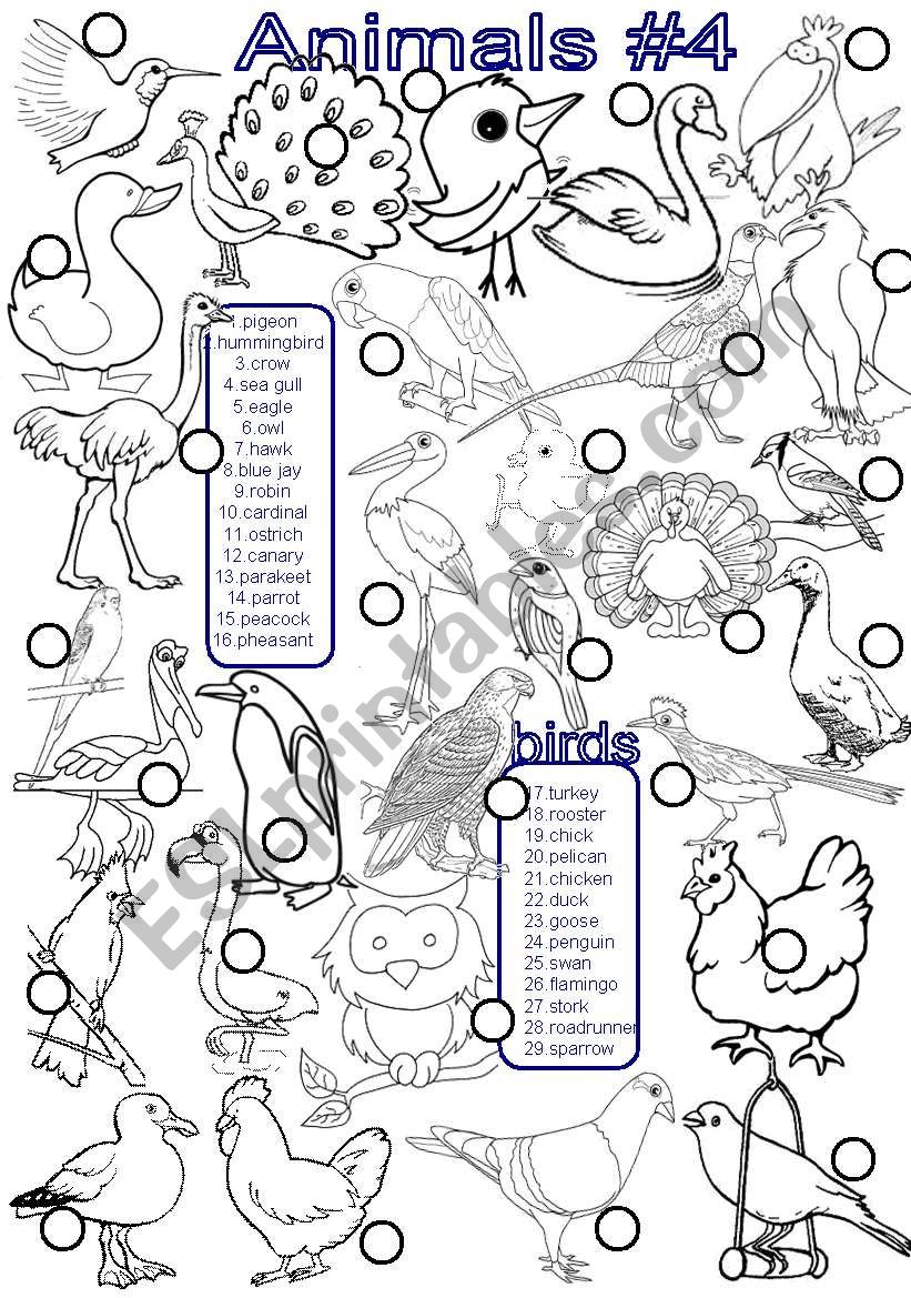 animals #4 worksheet