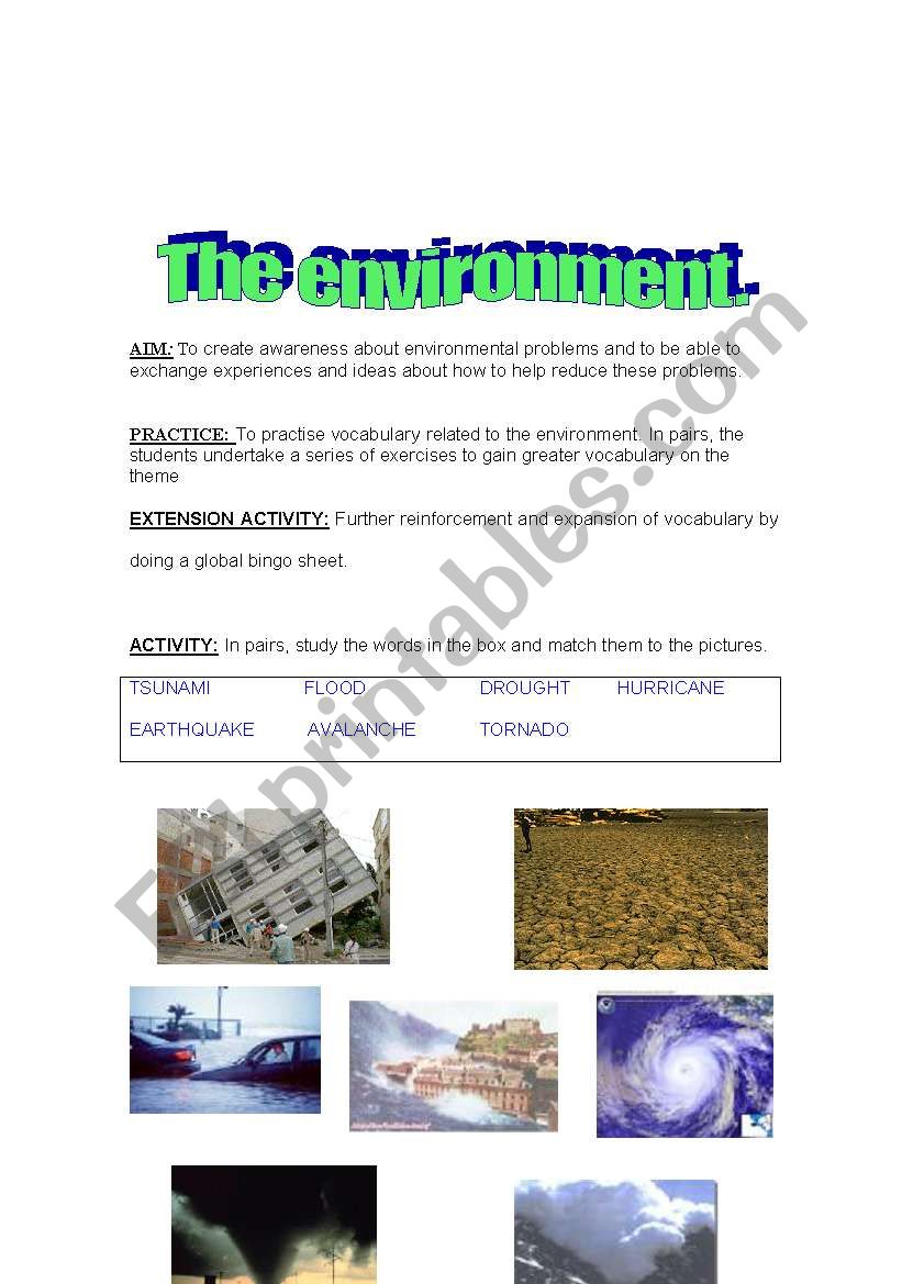 the environment worksheet