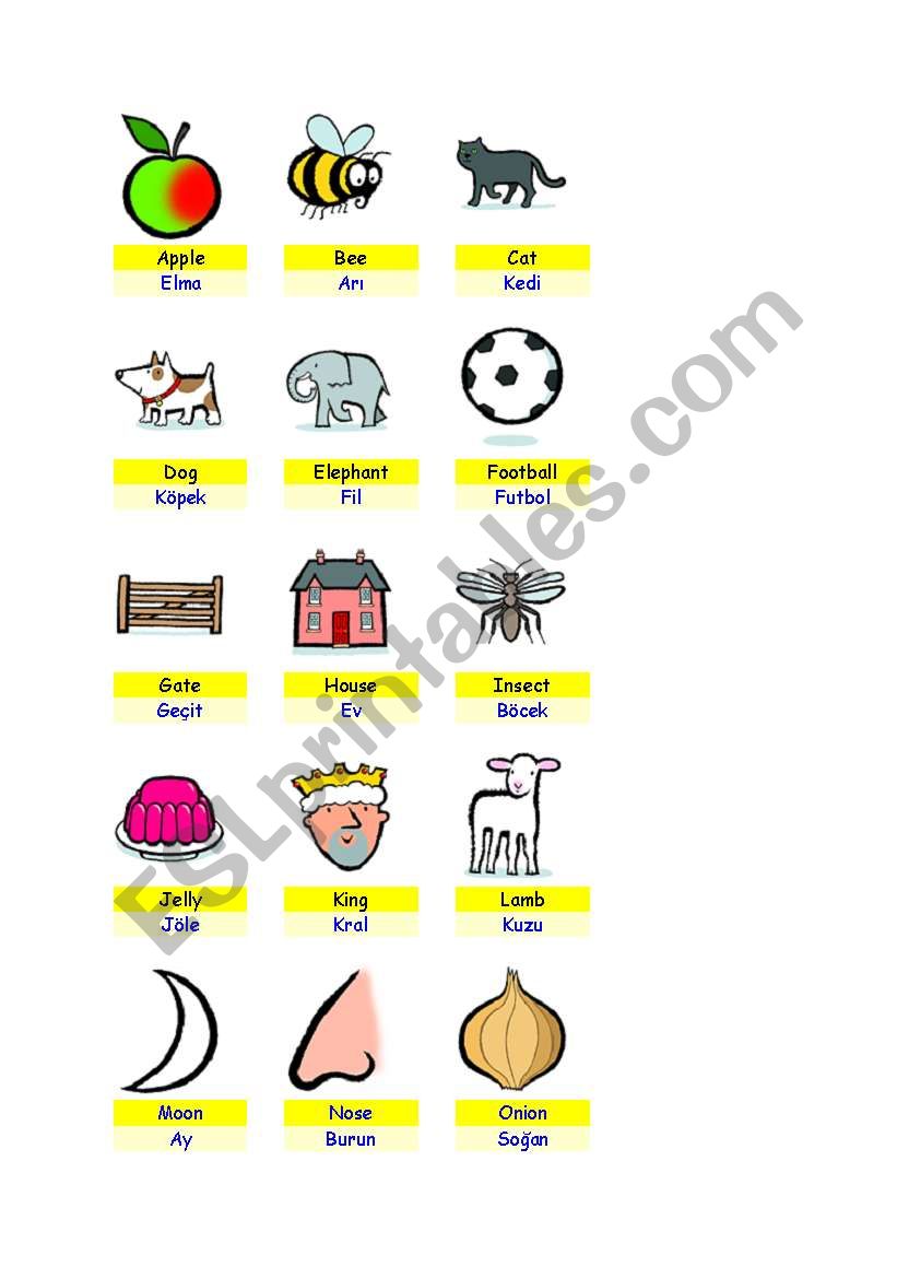 the alphabet worksheet