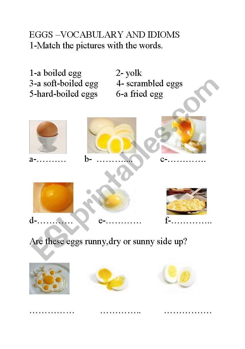 (the correct one)eggs-vocabulary and idioms