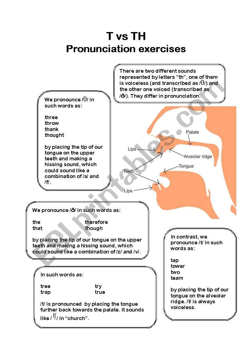 T vs TH pronunciation exercises