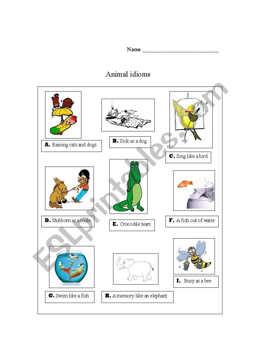 Animal idioms worksheet