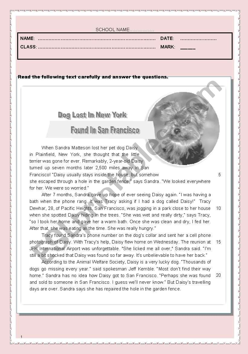 Test - Dog lost in New York worksheet