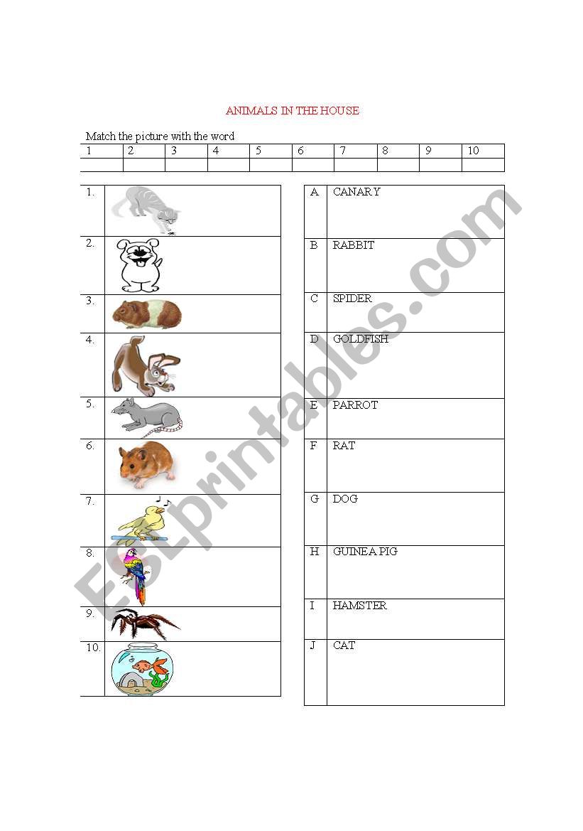 Animals in the house worksheet