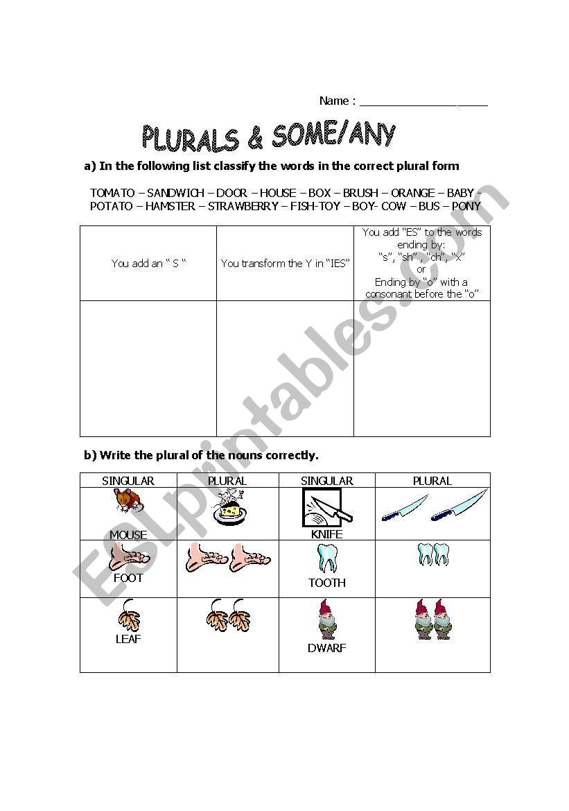 PLURALS & SOME/ANY worksheet