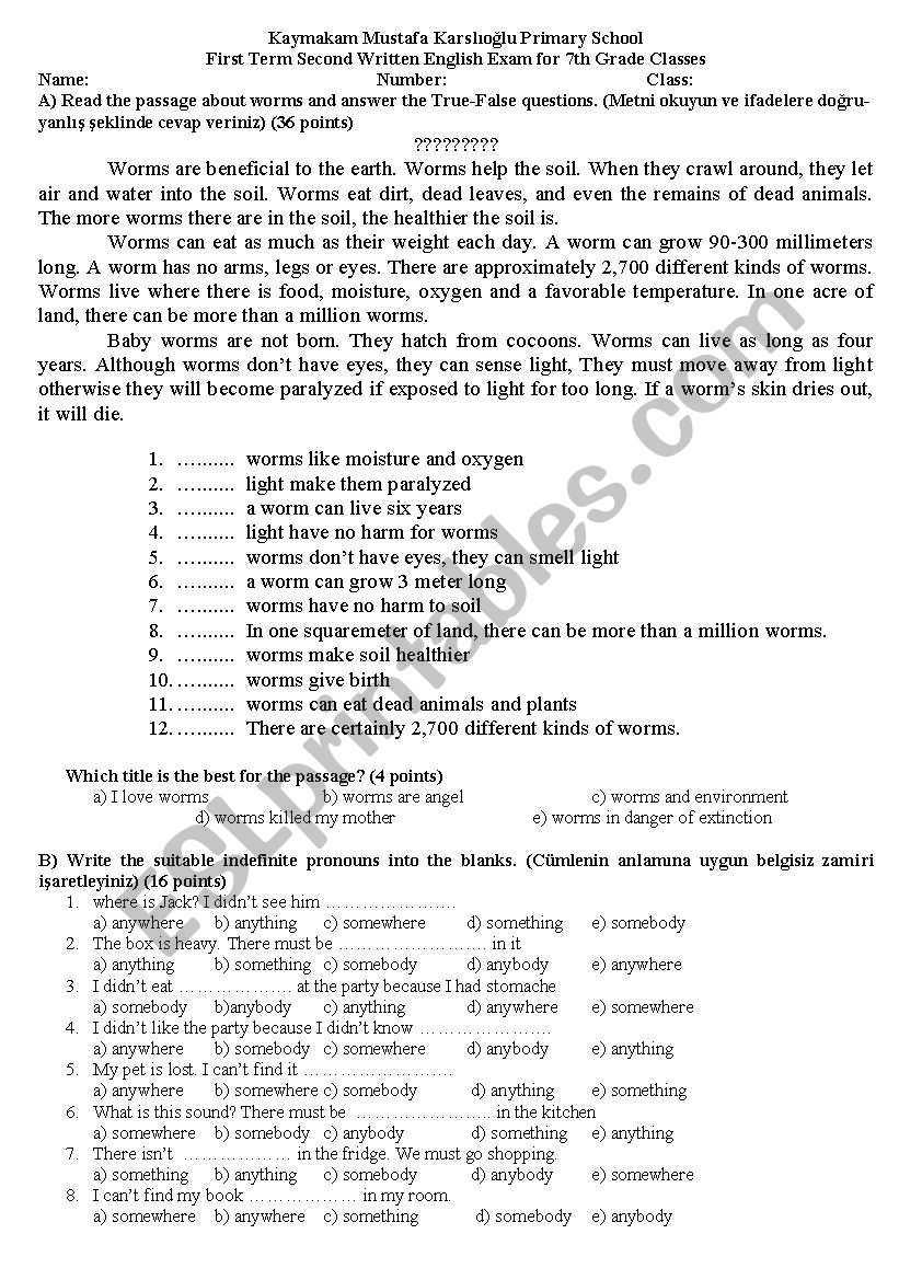 exam worksheet