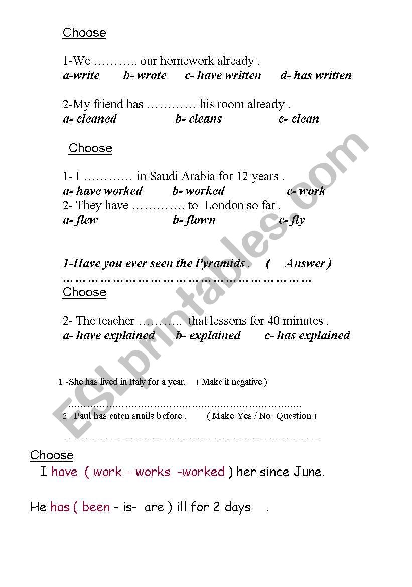 present perfect worksheet