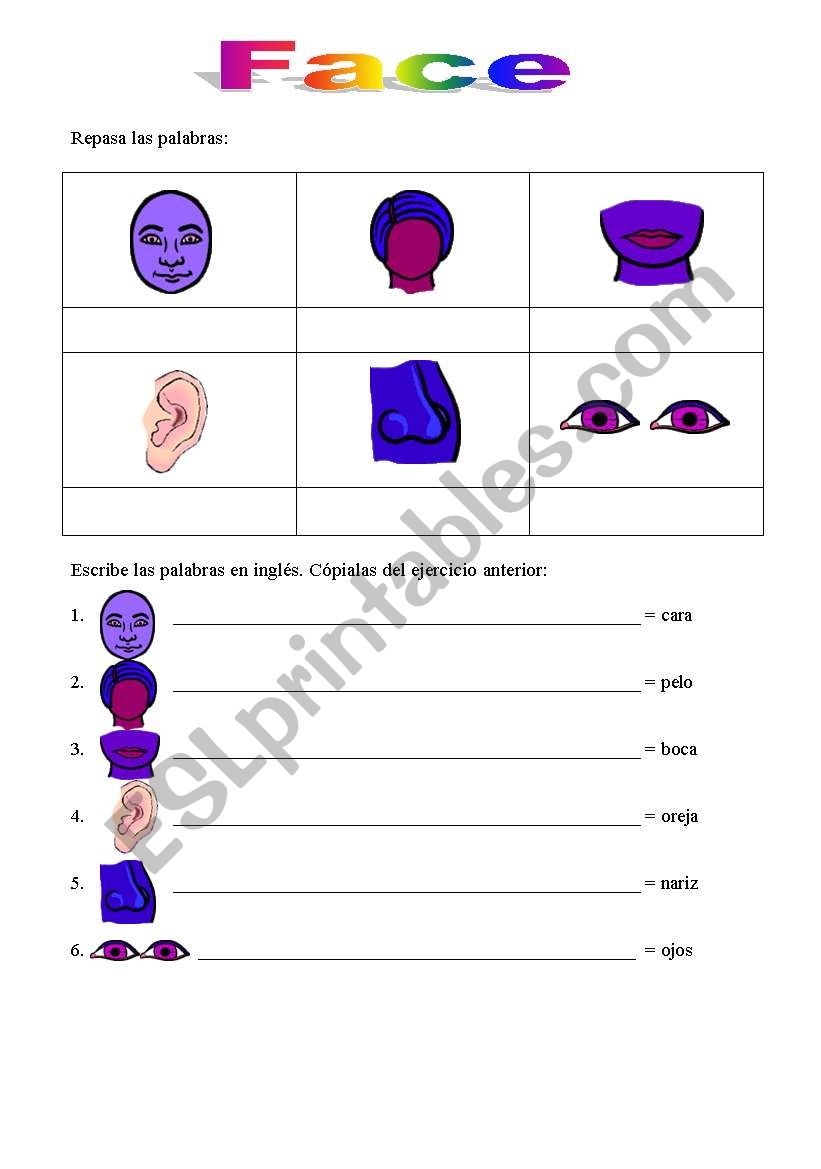 Face vocabulary worksheet