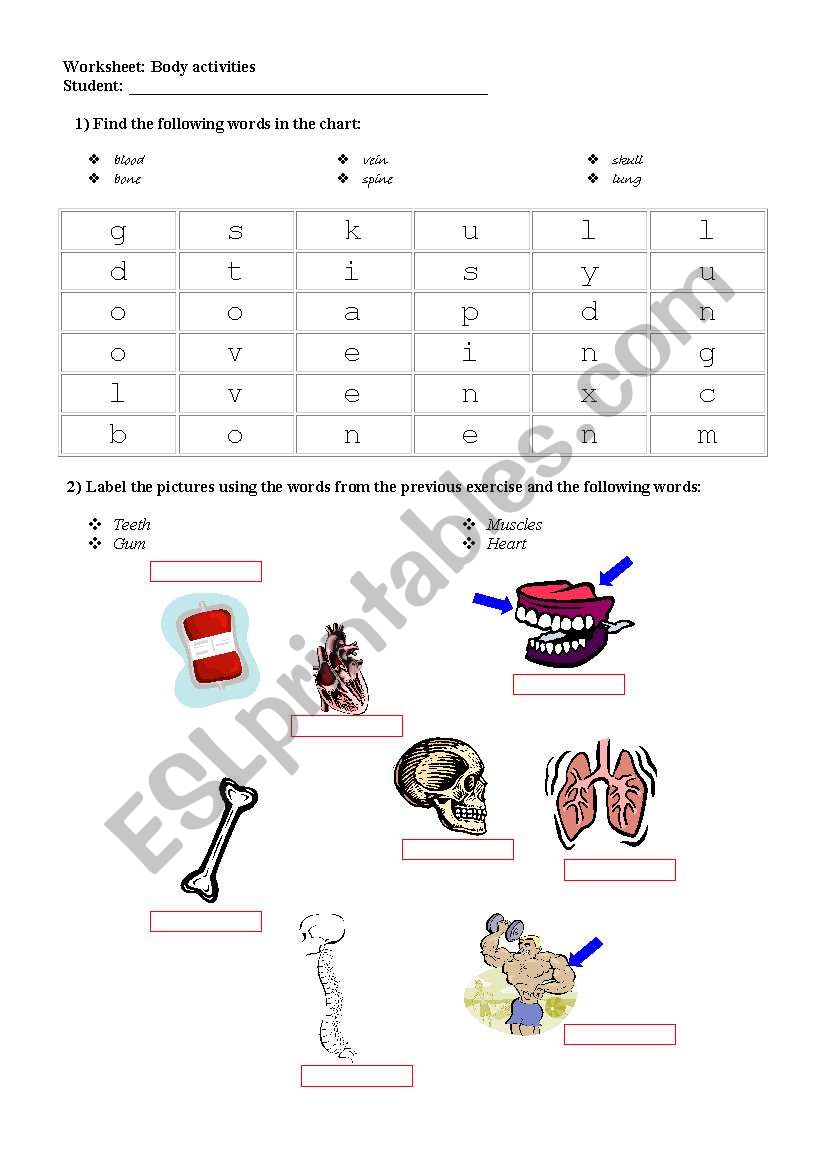 The body - internal organs worksheet