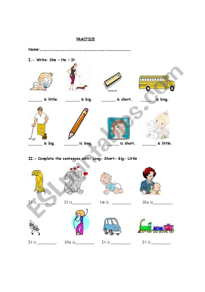 Pronouns and Size worksheet