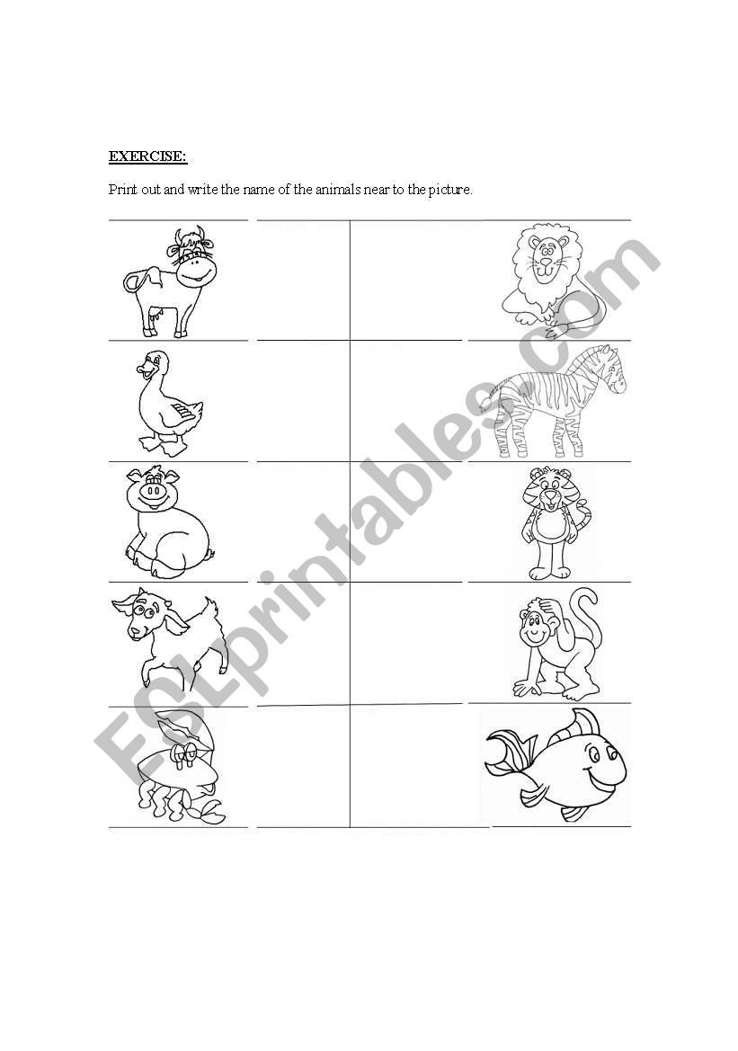 Animal Names worksheet