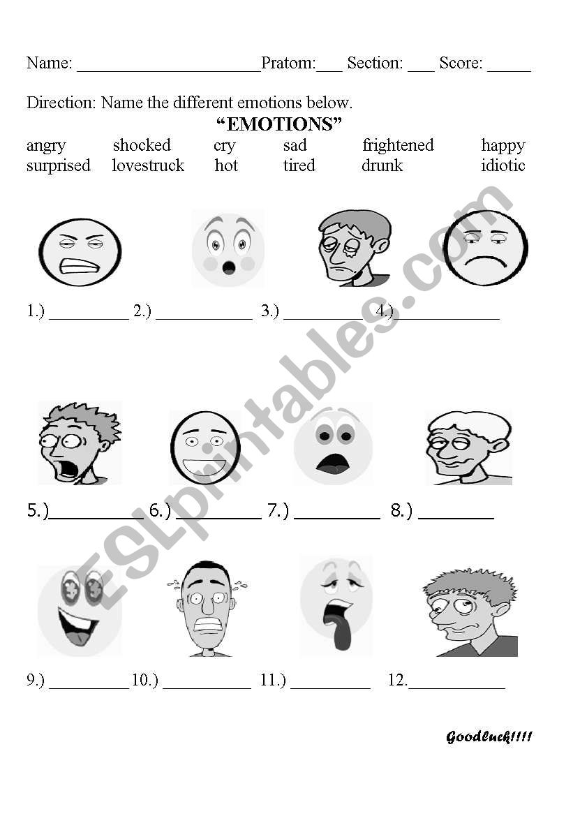 EMOTIONS worksheet