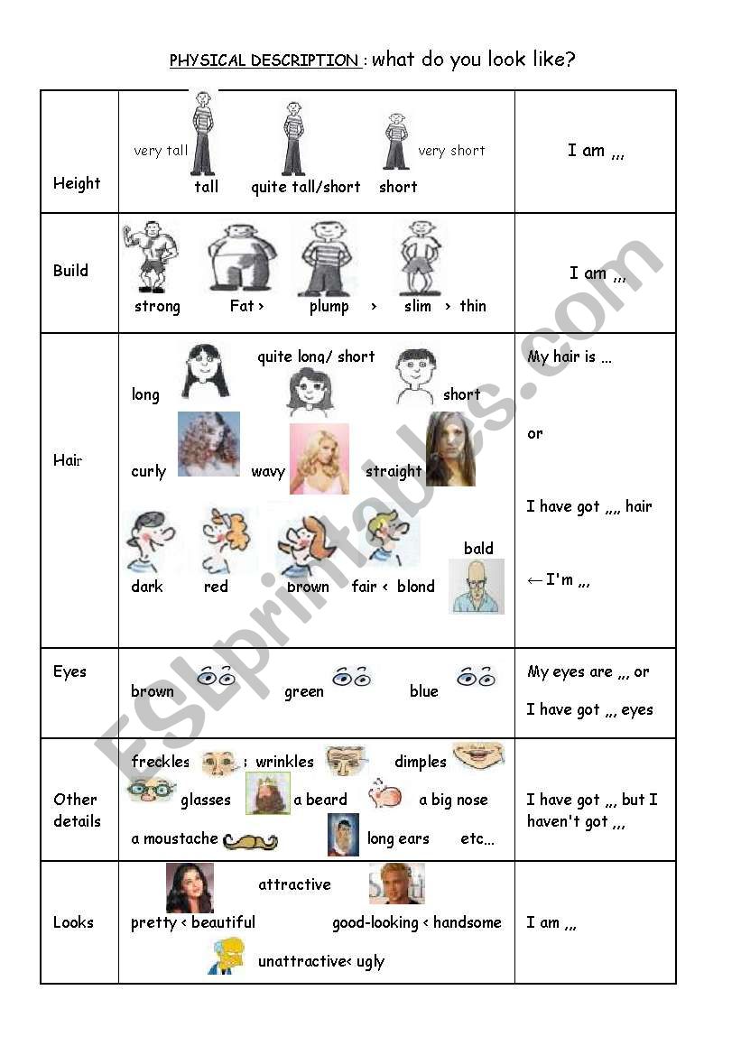 Physical description worksheet