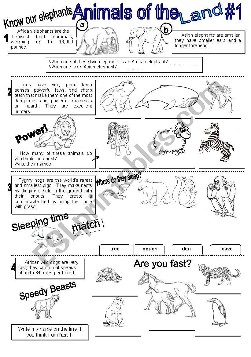 Animals-Wh questions-Reading worksheet