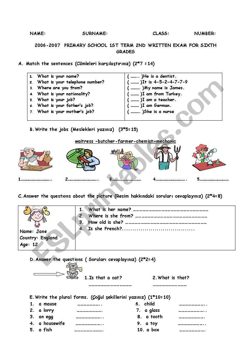 sample exam worksheet